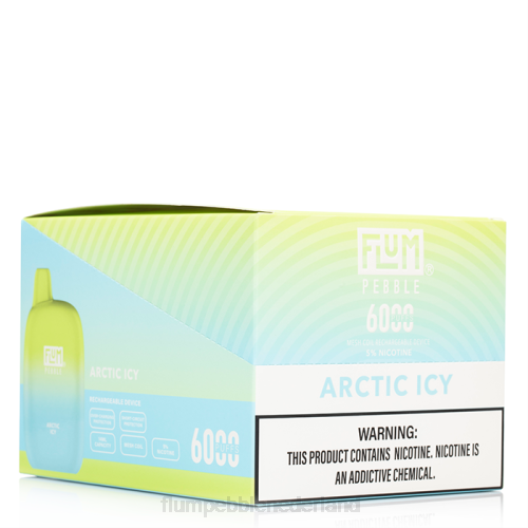FLUM PEBBLES 6000 soesjes 10 pakjes artistiek ijskoud - Flum Pebble vape flavors VT48U6