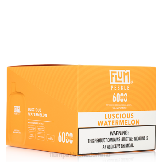 FLUM PEBBLES 6000 soesjes 10 pakjes heerlijke watermeloen - Flum Pebble flavors VT48U51