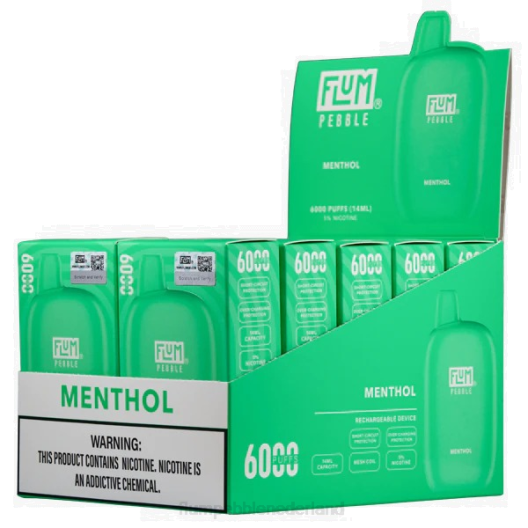 FLUM PEBBLES 6000 soesjes 10 pakjes menthol - Flum Pebble vape website VT48U58