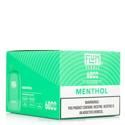 FLUM PEBBLES 6000 soesjes 10 pakjes menthol - Flum Pebble vape website VT48U58