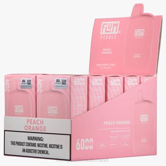 FLUM PEBBLES 6000 soesjes 10 pakjes perzik oranje - Flum Pebble vape Nederland VT48U63