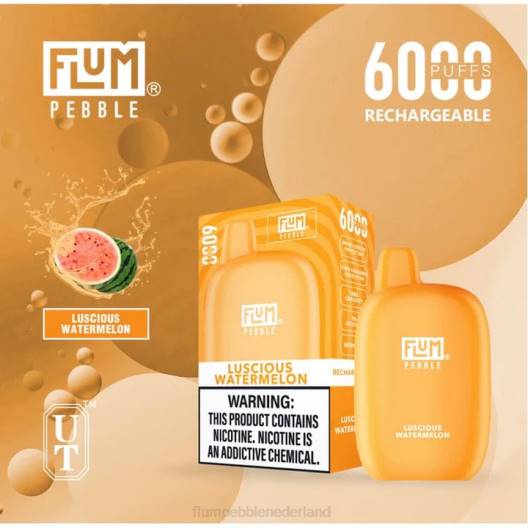 FLUM PEBBLES 6000 trekjes heerlijke watermeloen - Flum Pebble vape near me VT48U50