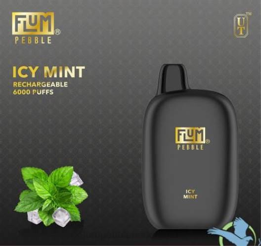 FLUM PEBBLES 6000 trekjes ijskoude munt - Flum Pebble vape price VT48U49