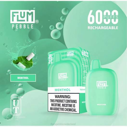 FLUM PEBBLES 6000 trekjes menthol - Flum Pebble vape review VT48U57