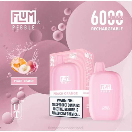 FLUM PEBBLES 6000 trekjes perzik ijskoud - Flum Pebble vape near me VT48U60
