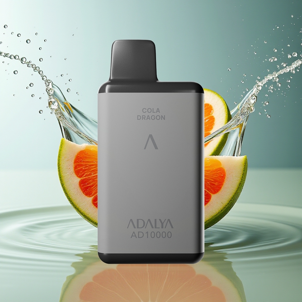 Adalya AD 10000 Puffs Wegwerp Vape Munt Punt Ruimtegrijs USB-C 14ml 2%