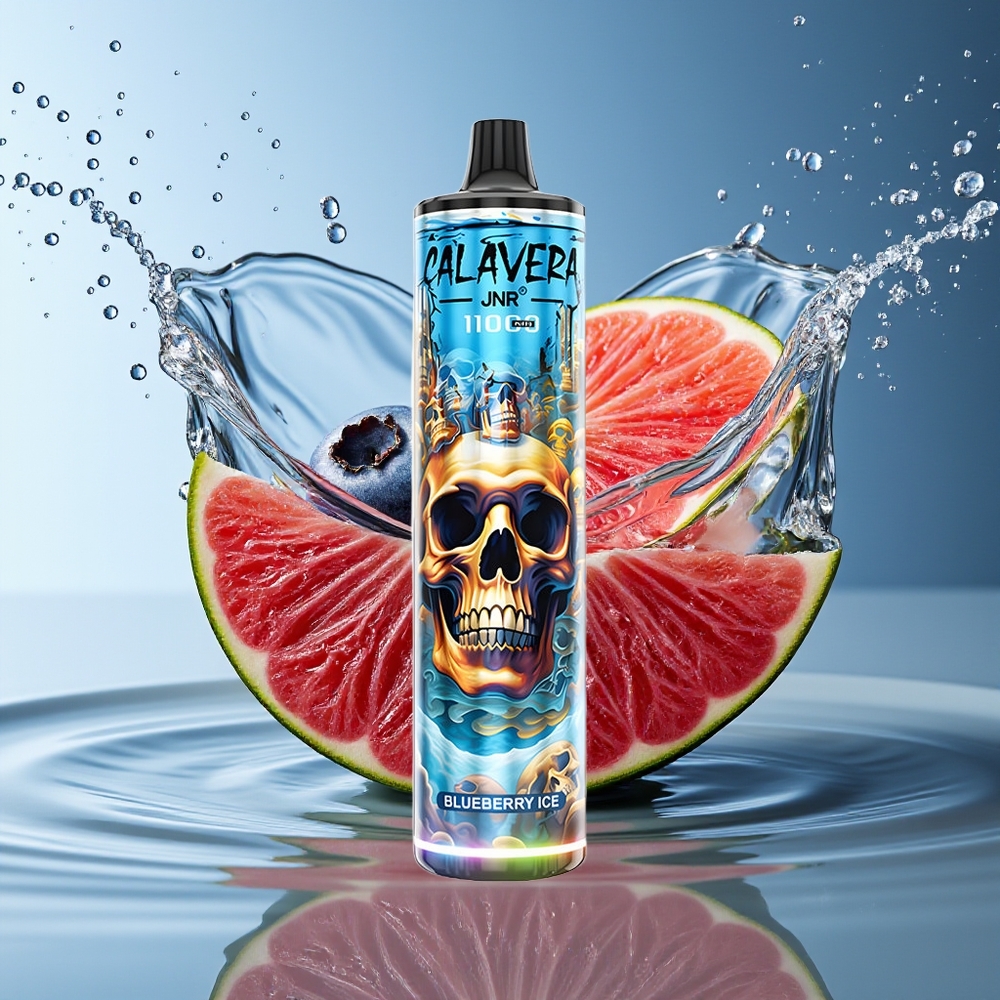 JNR Calavera 11000 Puffs Wegwerp Vape Bosbes IJs Type-C 850mAh 21ml 1.0ohm Mesh