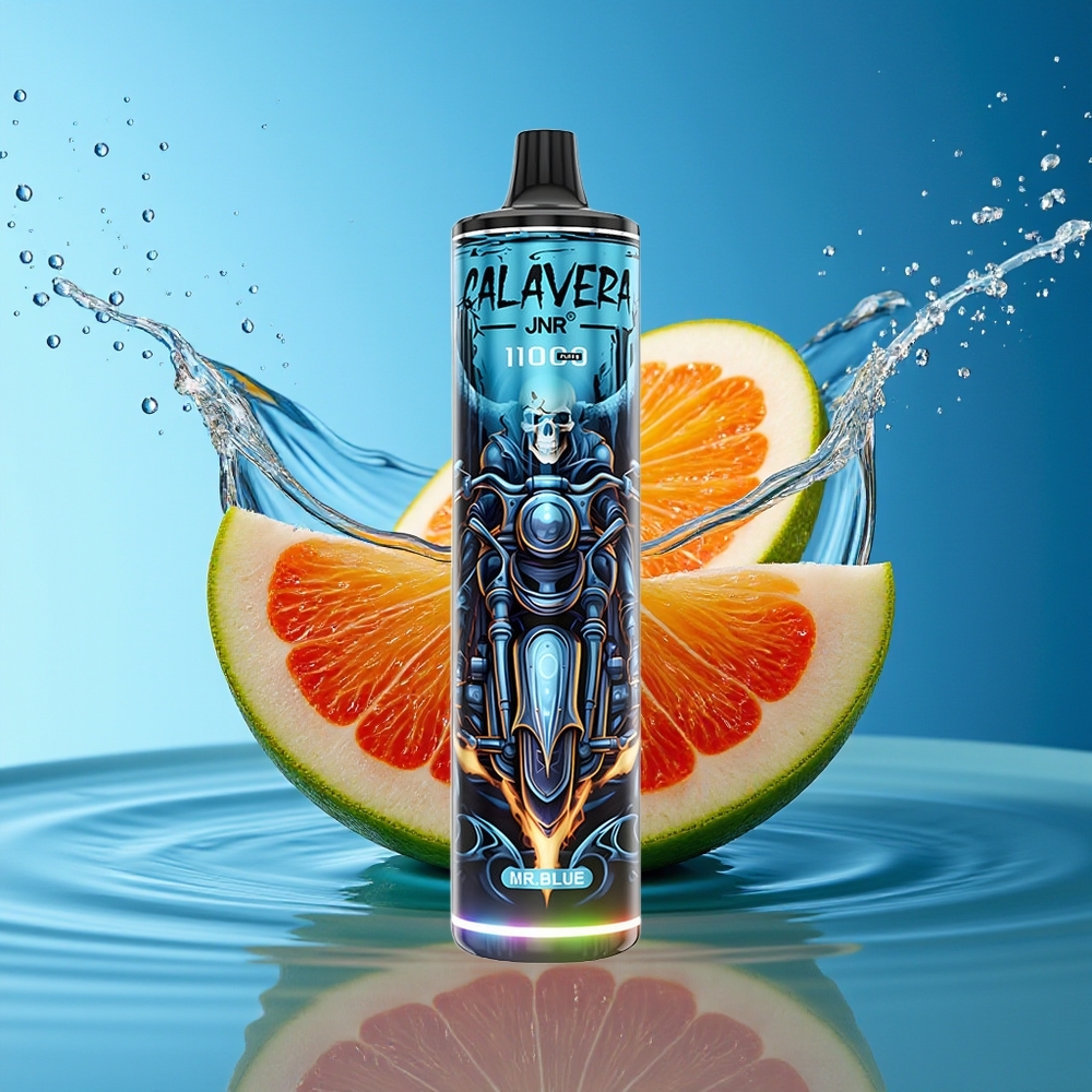 JNR Calavera 11000 Puffs Wegwerp Vape Meneer Blauw Type-C 850mAh 21ml 1.0ohm