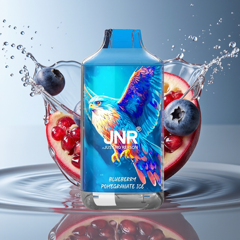 JNR Falcon 16000 Puffs Blauwe Bes Granaatappel IJs Dual Mesh LED Type C 22ml