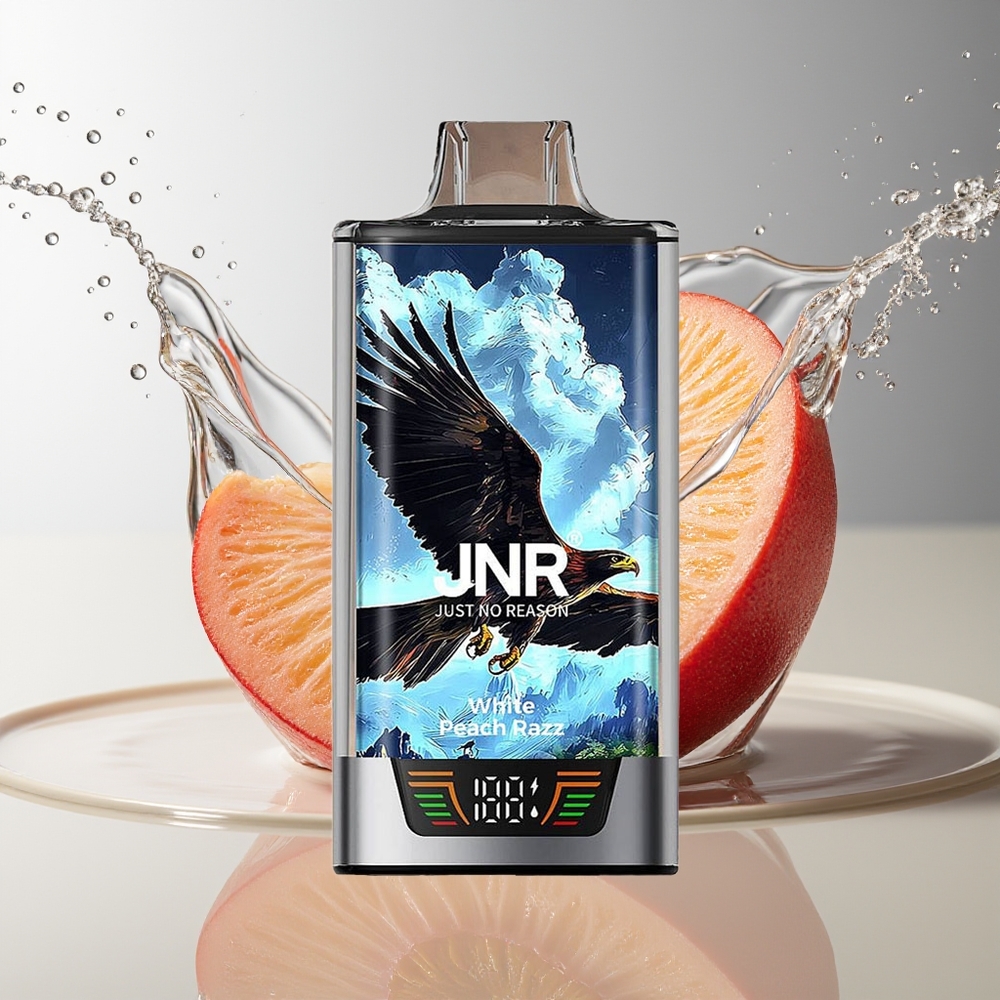 JNR Falcon Pro 28000 30ml Wit Perzik Razz Dual Mesh USB-C MTL
