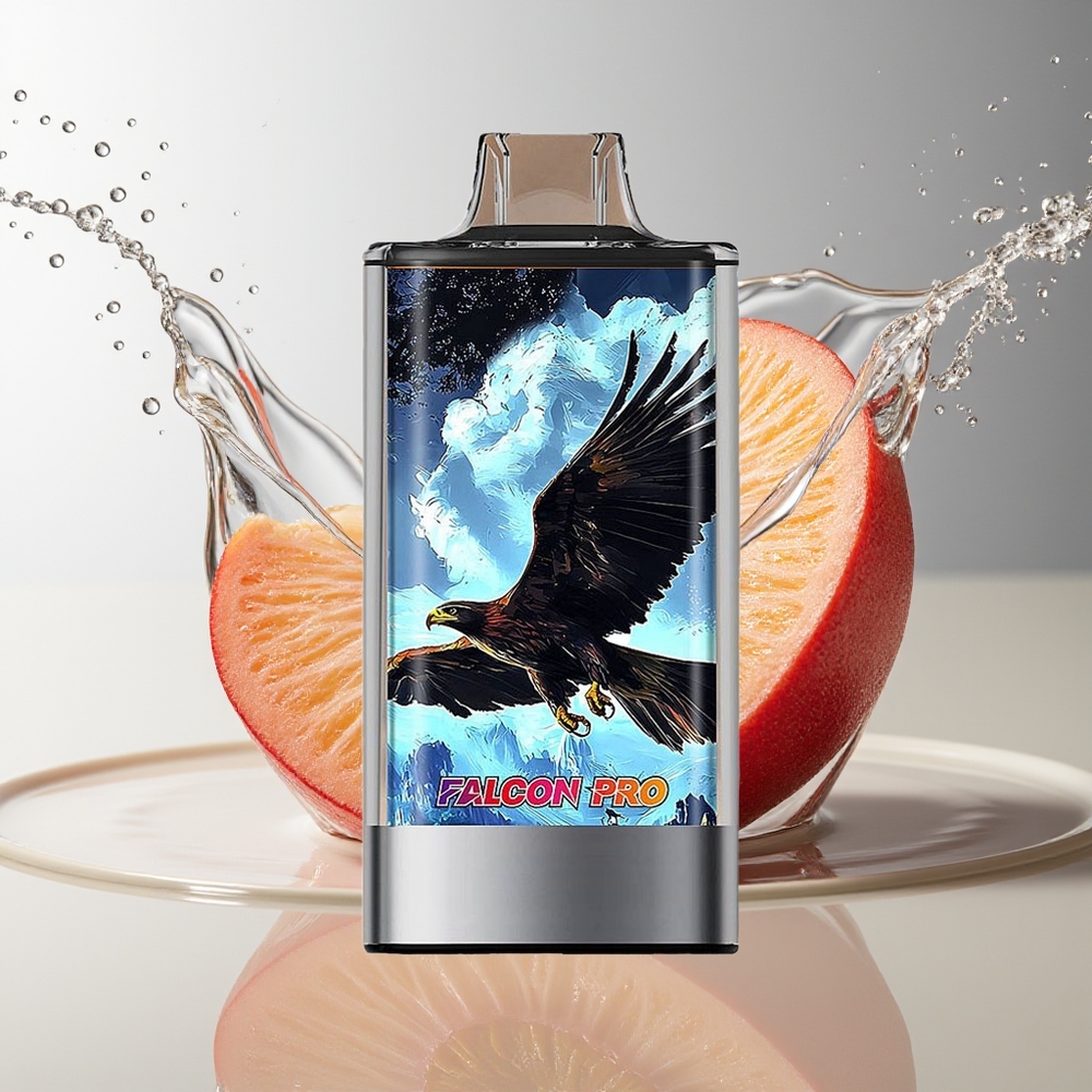 JNR Falcon Pro 28000 30ml Wit Perzik Razz Dual Mesh USB-C MTL