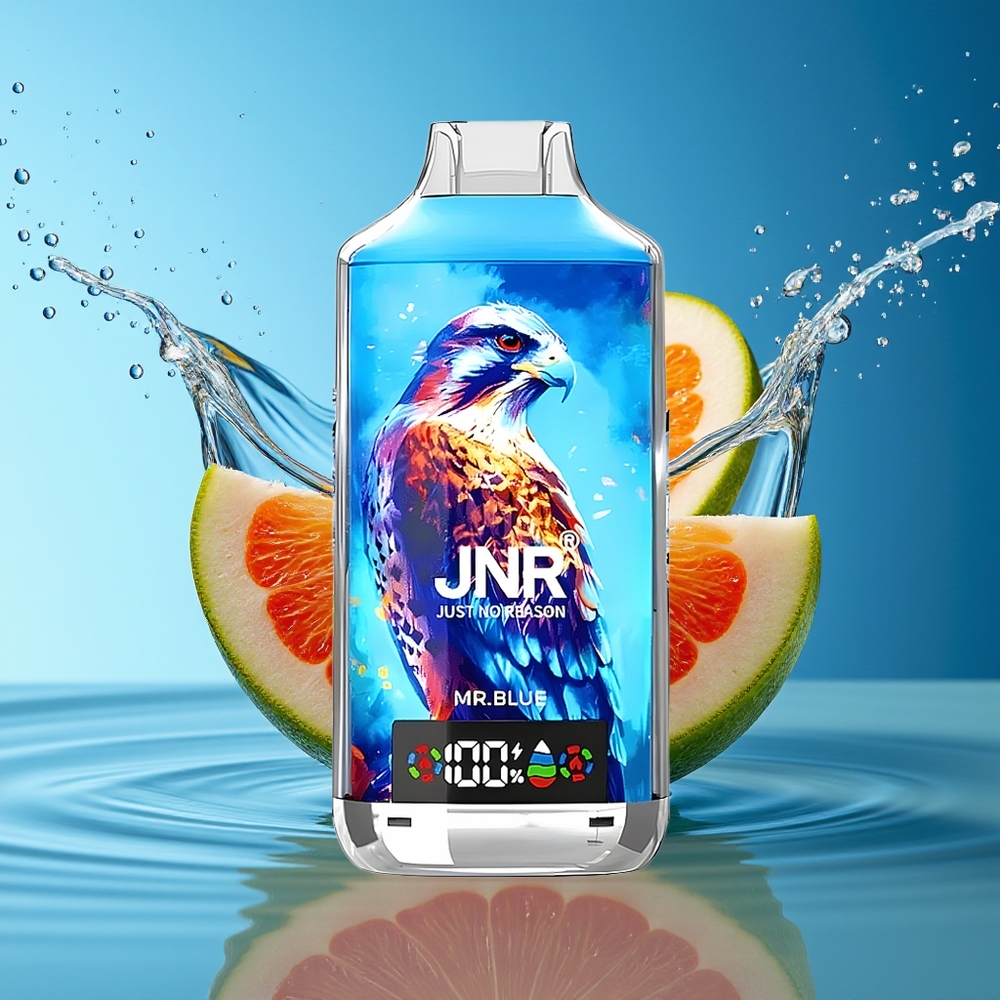 JNR Falcon X 18000 Puffs 750mAh 24ml Dual Mesh Dubbel Scherm Type-C Snelopladen 0%2%5% Meneer Blauw