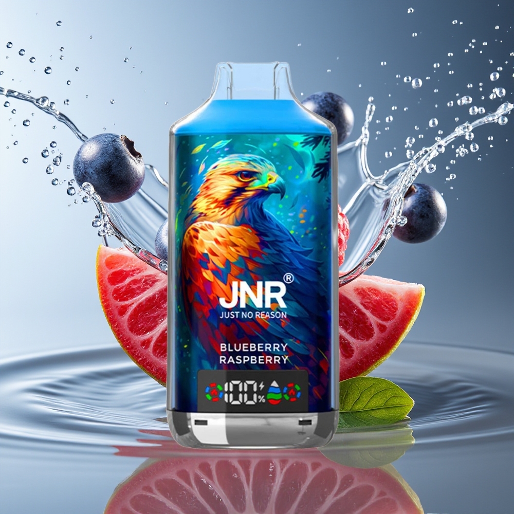 JNR Falcon X 18000 Puffs Blauwe Bes Framboos Dual Mesh Digitaal Opladen