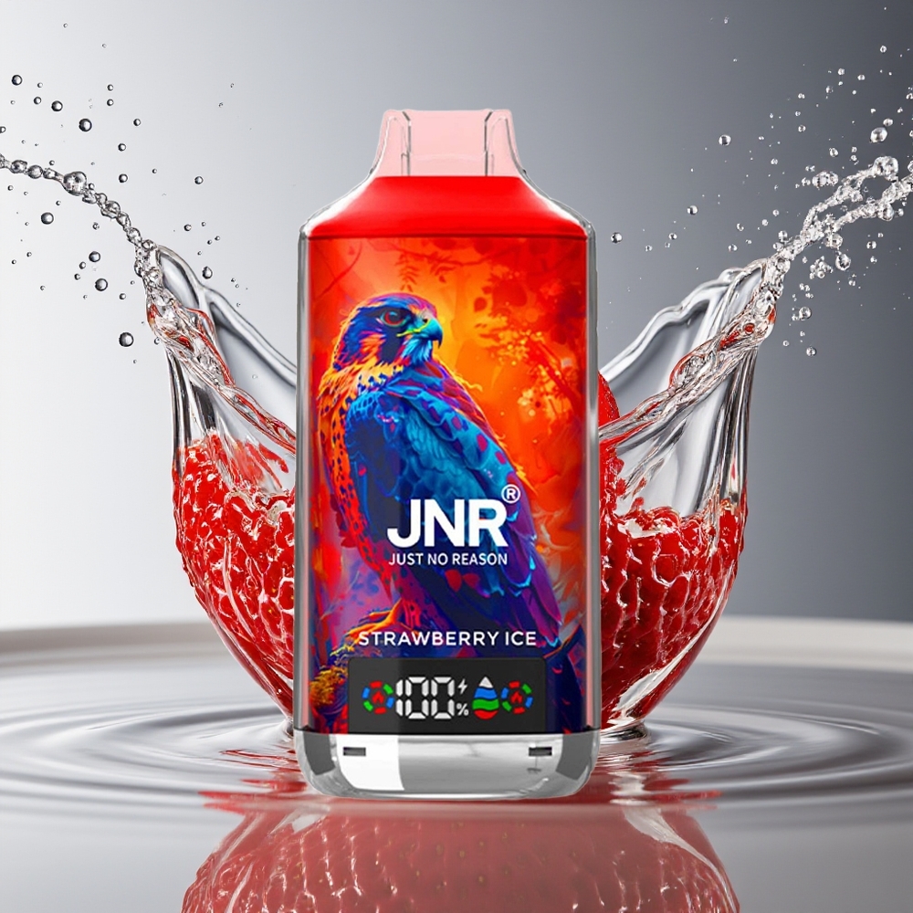 JNR Falcon X 18000 Puffs Dubbele Mesh Coil Aardbei IJs Type-C Opladen 24ml