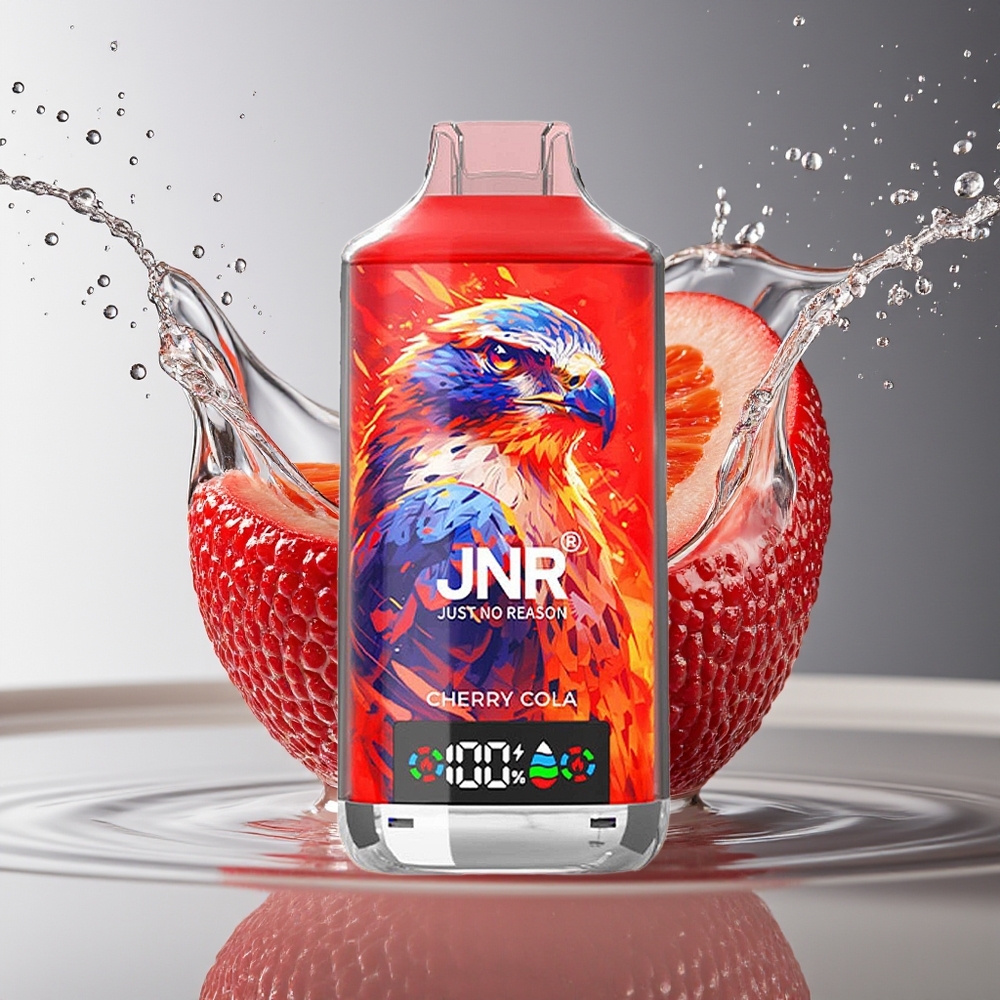 JNR Falcon X 18000 Puffs Dubbele Mesh Coil Kers Wegwerp Vape Type-C 750mAh 24ml