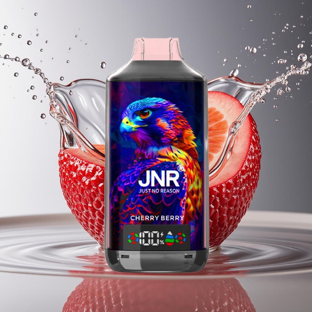JNR Falcon X 18000 Puffs Kers Bes Wegwerp Vape Dual Mesh Type-C 750mAh 24ml