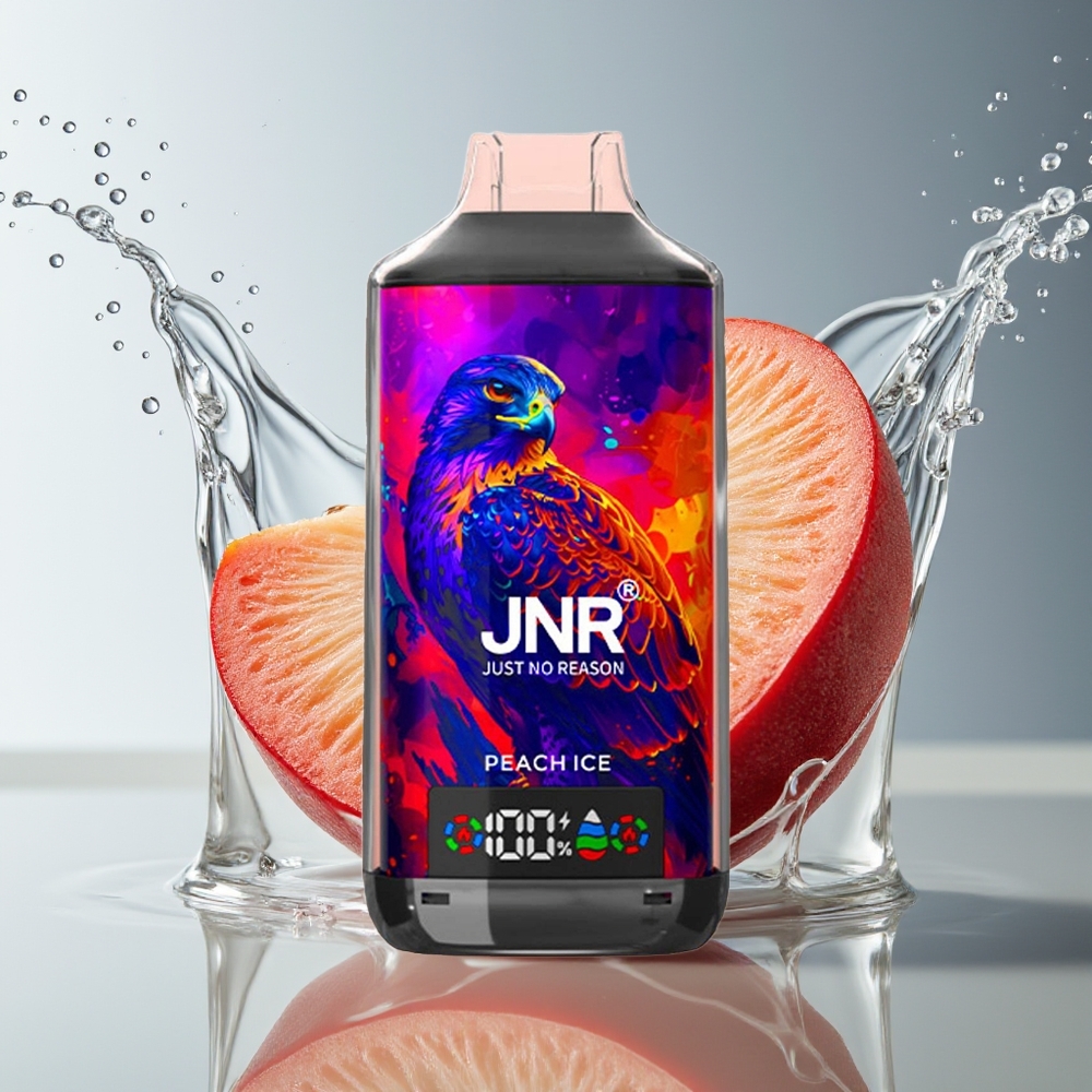 JNR Falcon X 18000 Puffs Perzik Ijs Dual Mesh Coil Digital Display Type-C