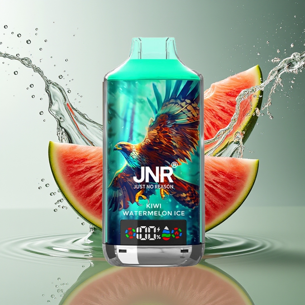 JNR Falcon X 18000 Puffs Wegwerp Vape Kiwi Watermeloen IJs 750mAh 24ml Dual Mesh Coil Type-C