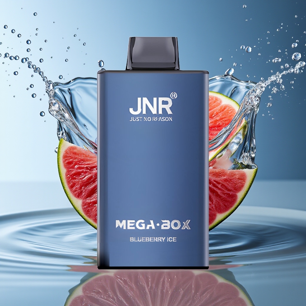 JNR Mega Box 25000 Puffs Wegwerp Vape Bosbes IJs Dual Mesh Coil Type-C 30ml