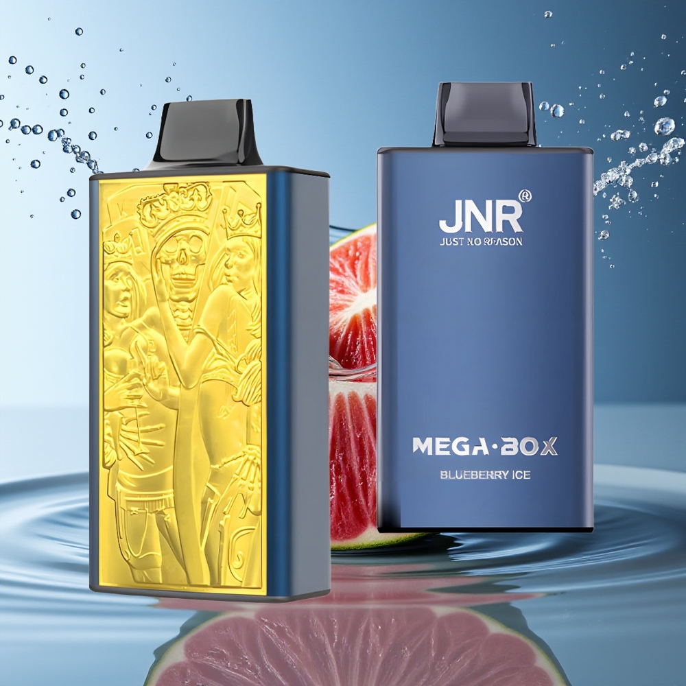 JNR Mega Box 25000 Puffs Wegwerp Vape Bosbes IJs Dual Mesh Coil Type-C 30ml