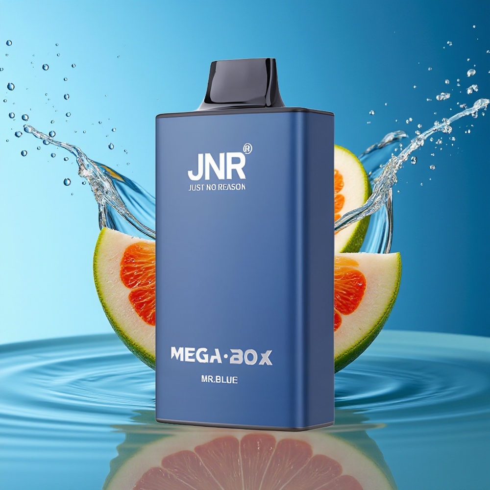 JNR Mega Box 25000 Puffs Wegwerp Vape Heer Blauw 30ml Dual Mesh Type-C