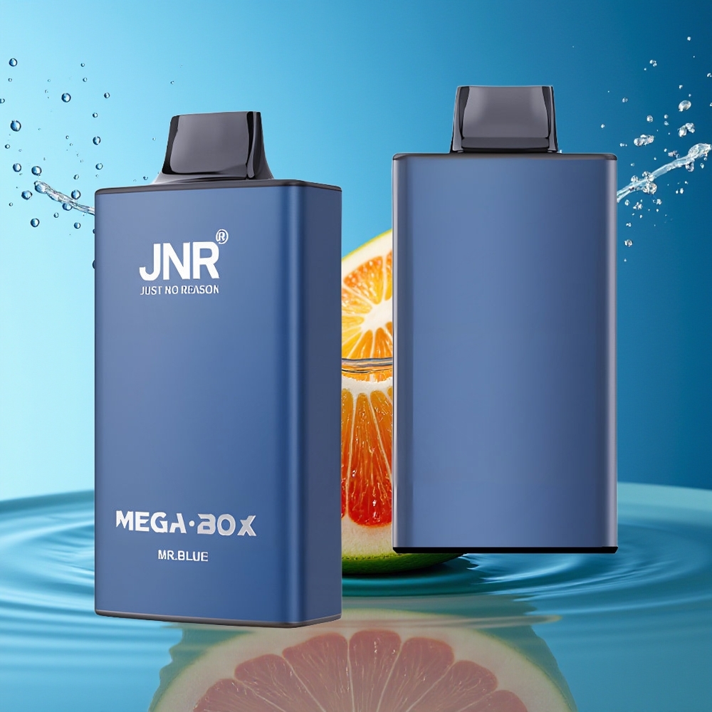 JNR Mega Box 25000 Puffs Wegwerp Vape Heer Blauw 30ml Dual Mesh Type-C