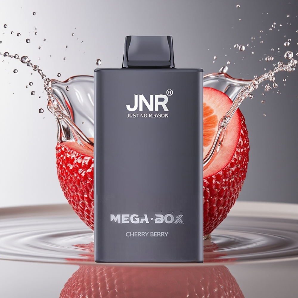 JNR Mega Box 25000 Puffs Wegwerp Vape Kers Bes Dual Mesh Coil Type-C