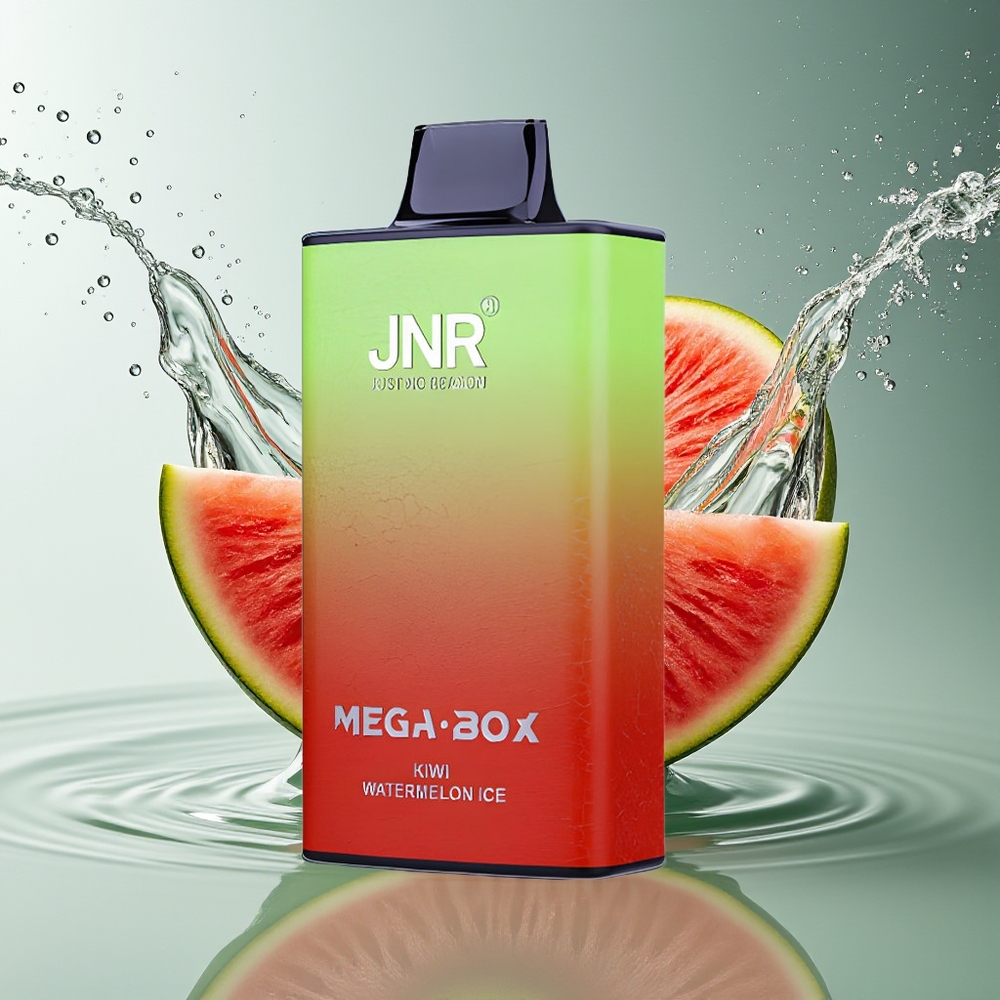 JNR Mega Box 25000 Puffs Wegwerp Vape Kiwi Watermeloen IJs Dual Mesh Coil Type-C