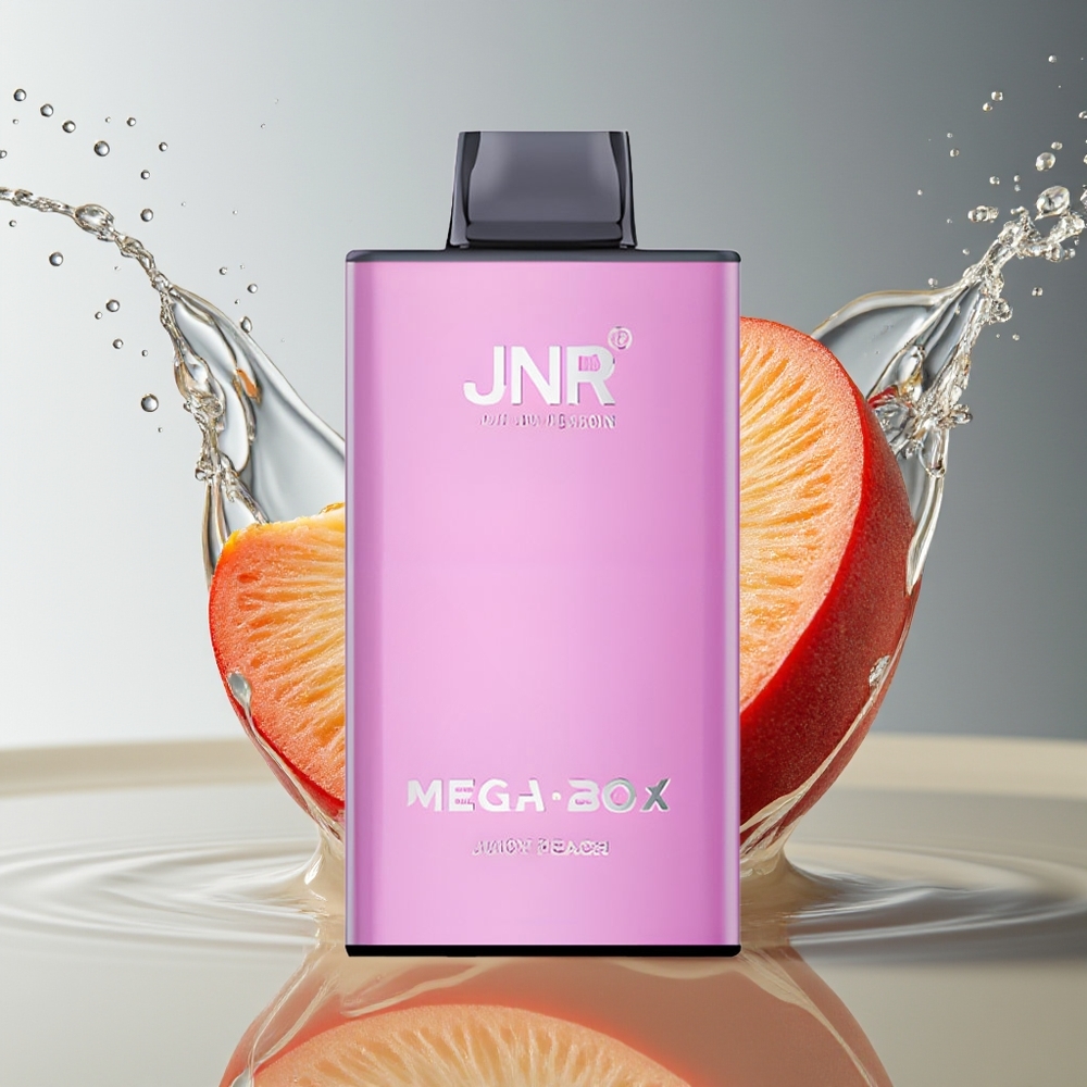 JNR Mega Box 25000 Puffs Wegwerp Vape Sappige Perzik Dual Mesh Type-C 850mAh