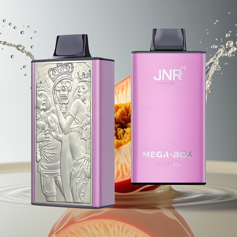 JNR Mega Box 25000 Puffs Wegwerp Vape Sappige Perzik Dual Mesh Type-C 850mAh