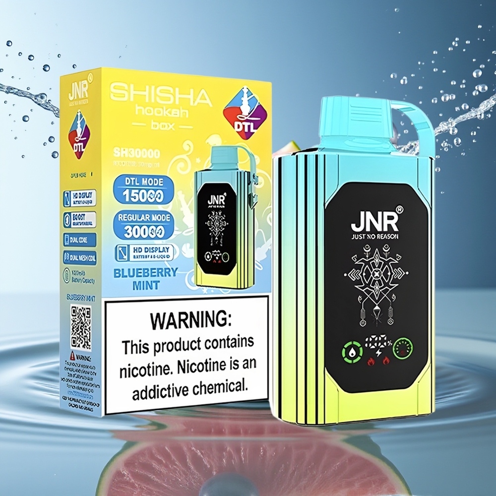 JNR Shisha Hookah Box 20500 Puffs Blauwe Bes Munt HD Display Dual Mesh Type-C 1000mAh