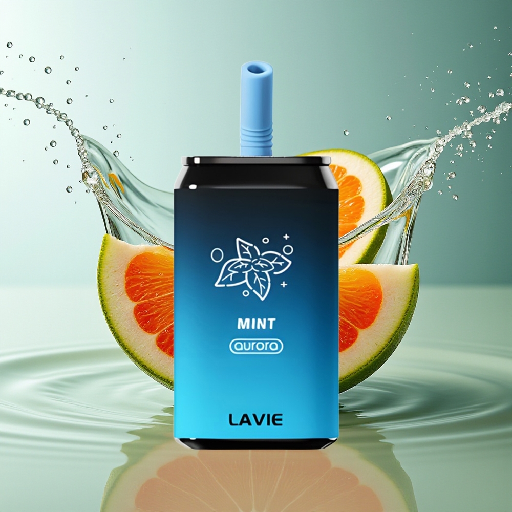 LAVIE Aurora 11000 Puffs Munt Wegwerp Vape Type C Oplaadbaar 22ML 5%