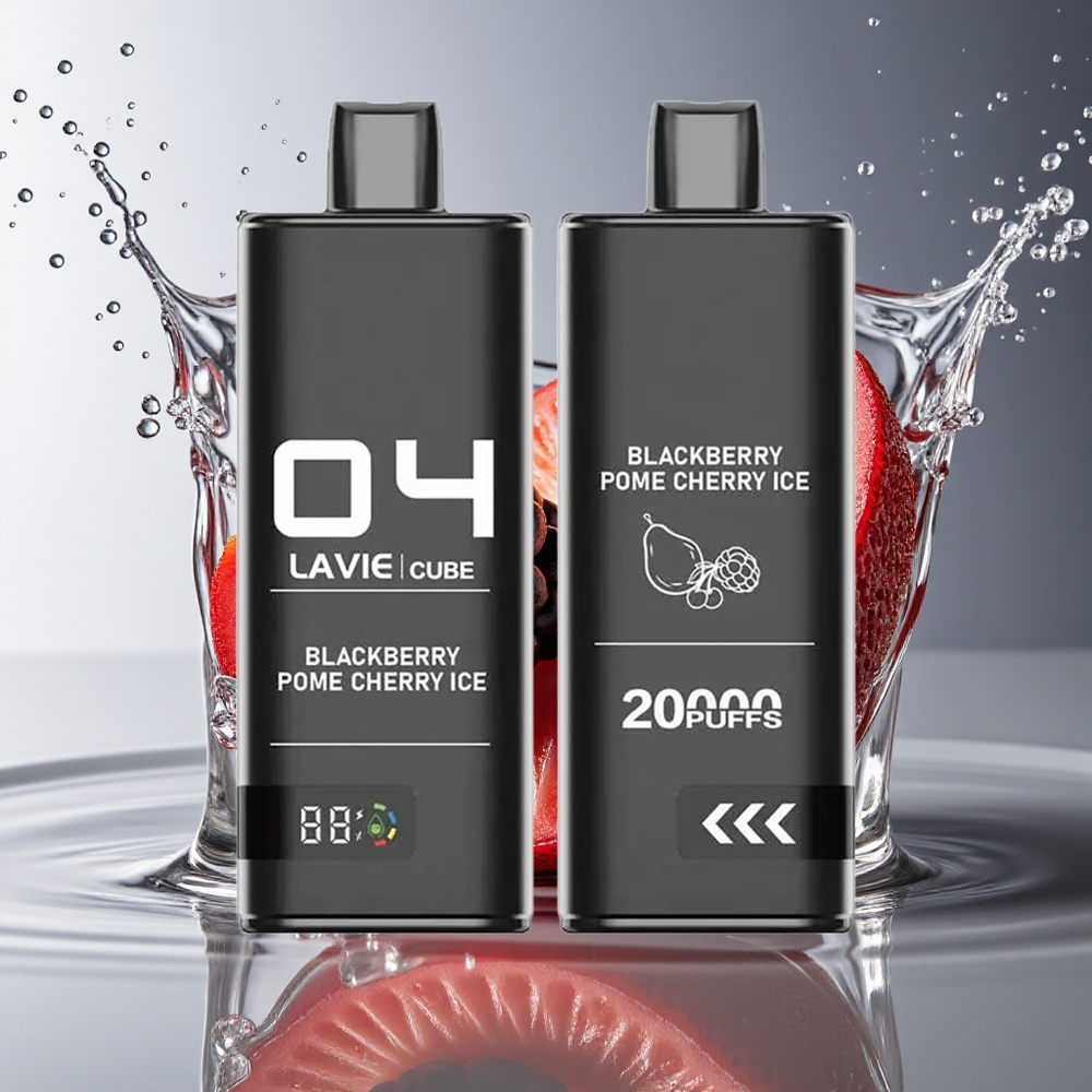 Lavie Cube 20000 Puffs Braambes Appelkers IJs Wegwerp Vape Type C 600mAh