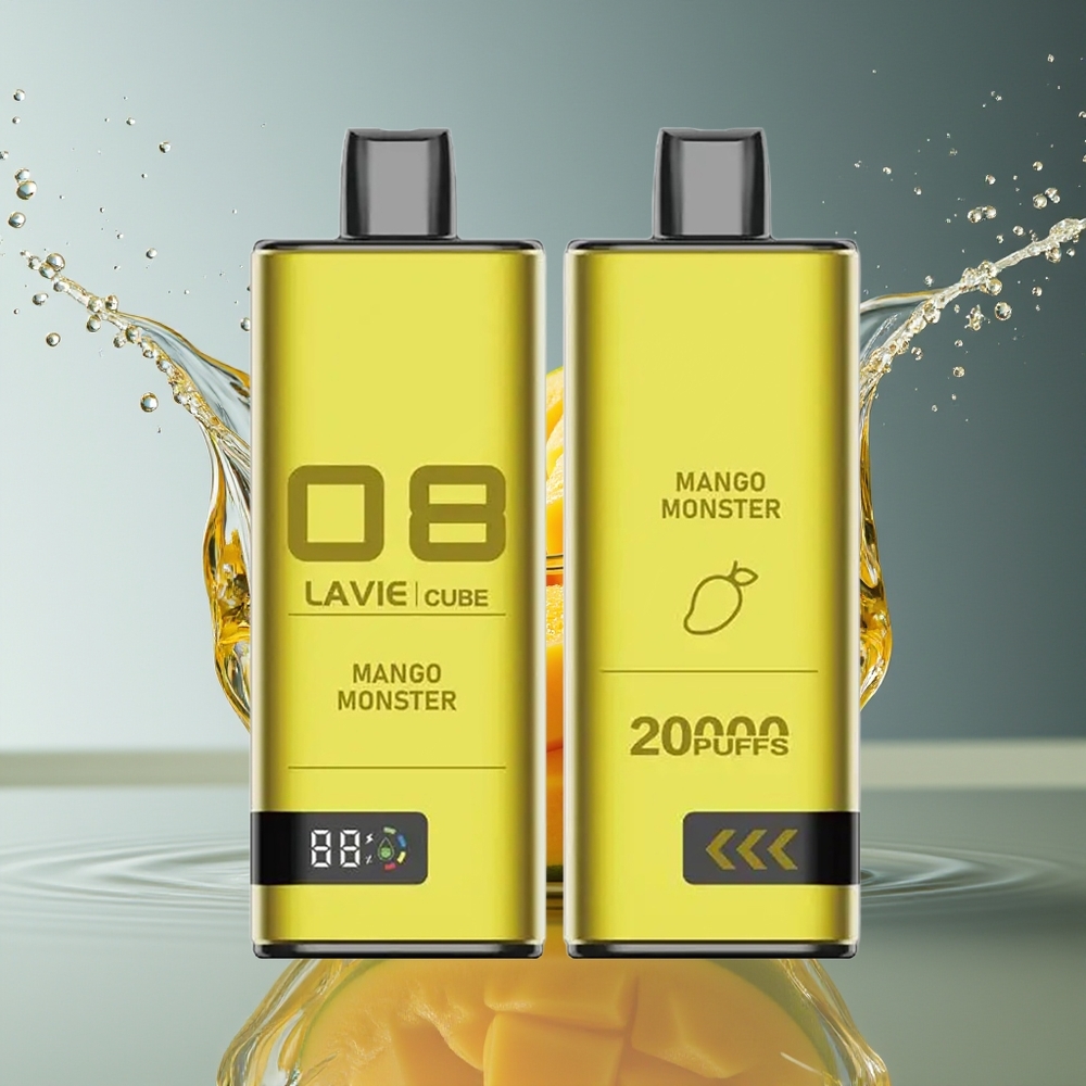 Lavie Cube 20000 Puffs Wegwerp Vape Mango Monster 2% 5% 28ML Type C