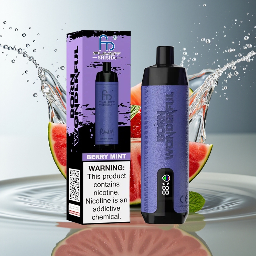 RandM Fumot Shisha 10000 Puffs Bes-Munt LED Type-C 850mAh 0.6ohm Mesh 18ml