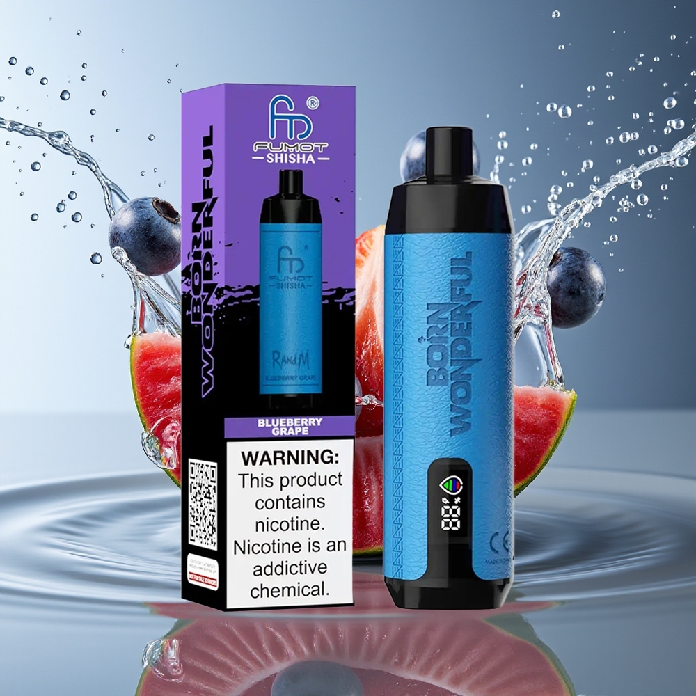 RandM Fumot Shisha 10000 Puffs Blauwe Bes Druif LED Type-C 18ml 0.6ohm