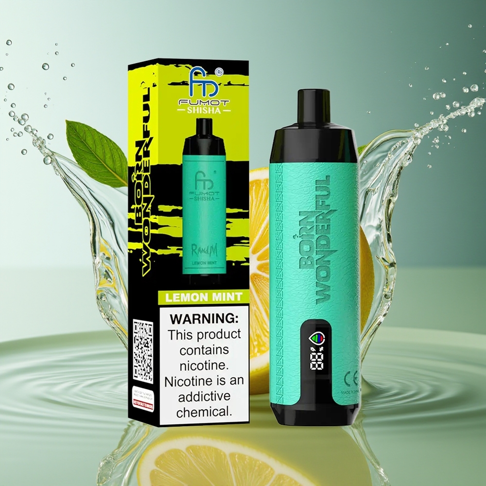 RandM Fumot Shisha 10000 Puffs Citroen Munt Wegwerp Vape LED Type-C 0.6ohm Mesh
