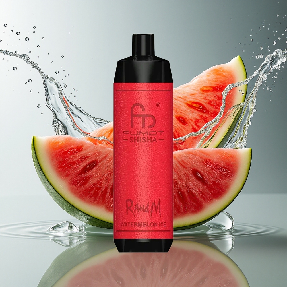 RandM Fumot Shisha 10000 Puffs Watermeloen Ijs Wegwerp Vape met LED en Type-C