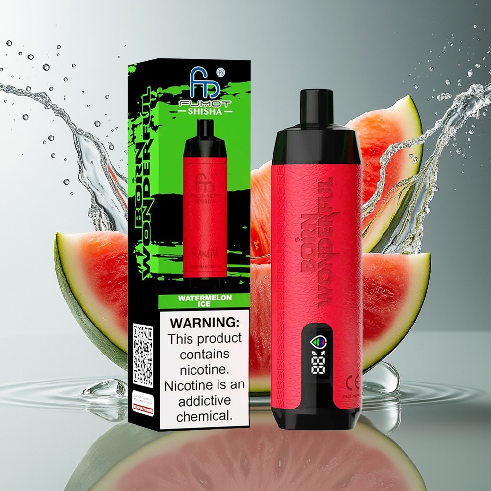 RandM Fumot Shisha 10000 Puffs Watermeloen Ijs Wegwerp Vape met LED en Type-C