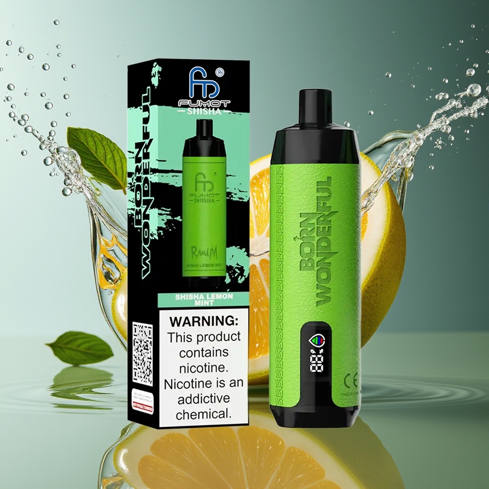 RandM Fumot Shisha 10000 Puffs Wegwerp Vape Citroen Munt Type-C LED Mesh Coil