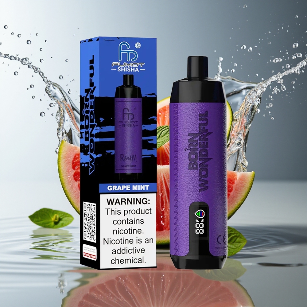 RandM Fumot Shisha 10000 Puffs Wegwerp Vape Druiven Munt LED Type-C Mesh 0.5%