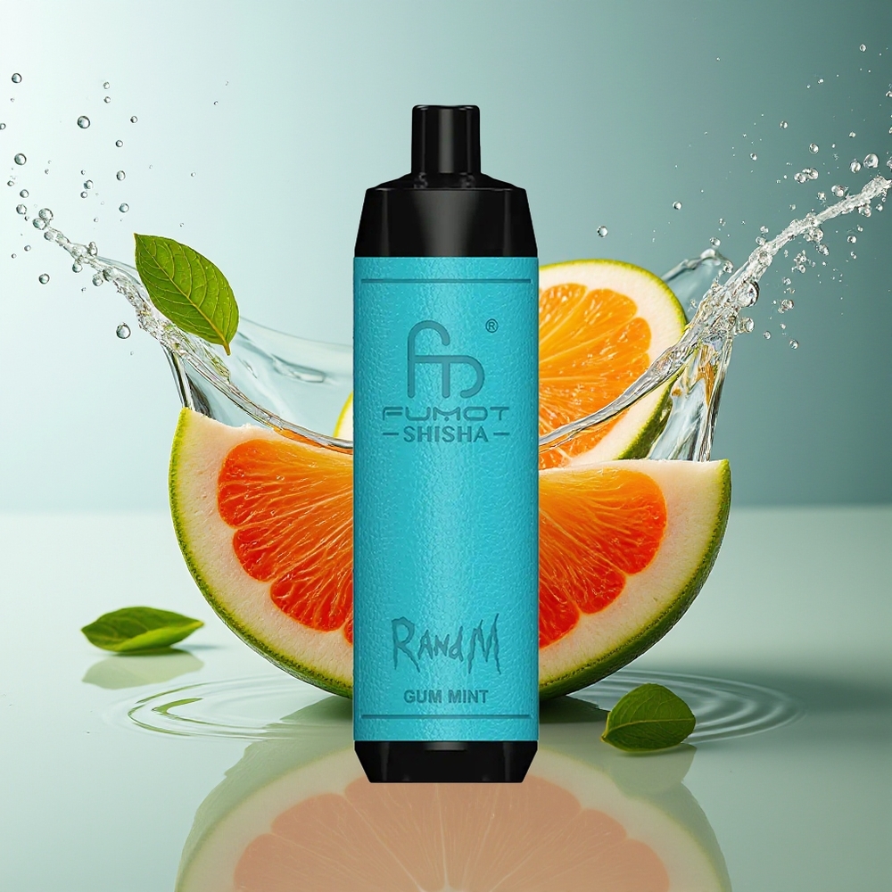RandM Fumot Shisha 10000 Puffs Wegwerp Vape Kauwgom Munt LED Mesh Type-C