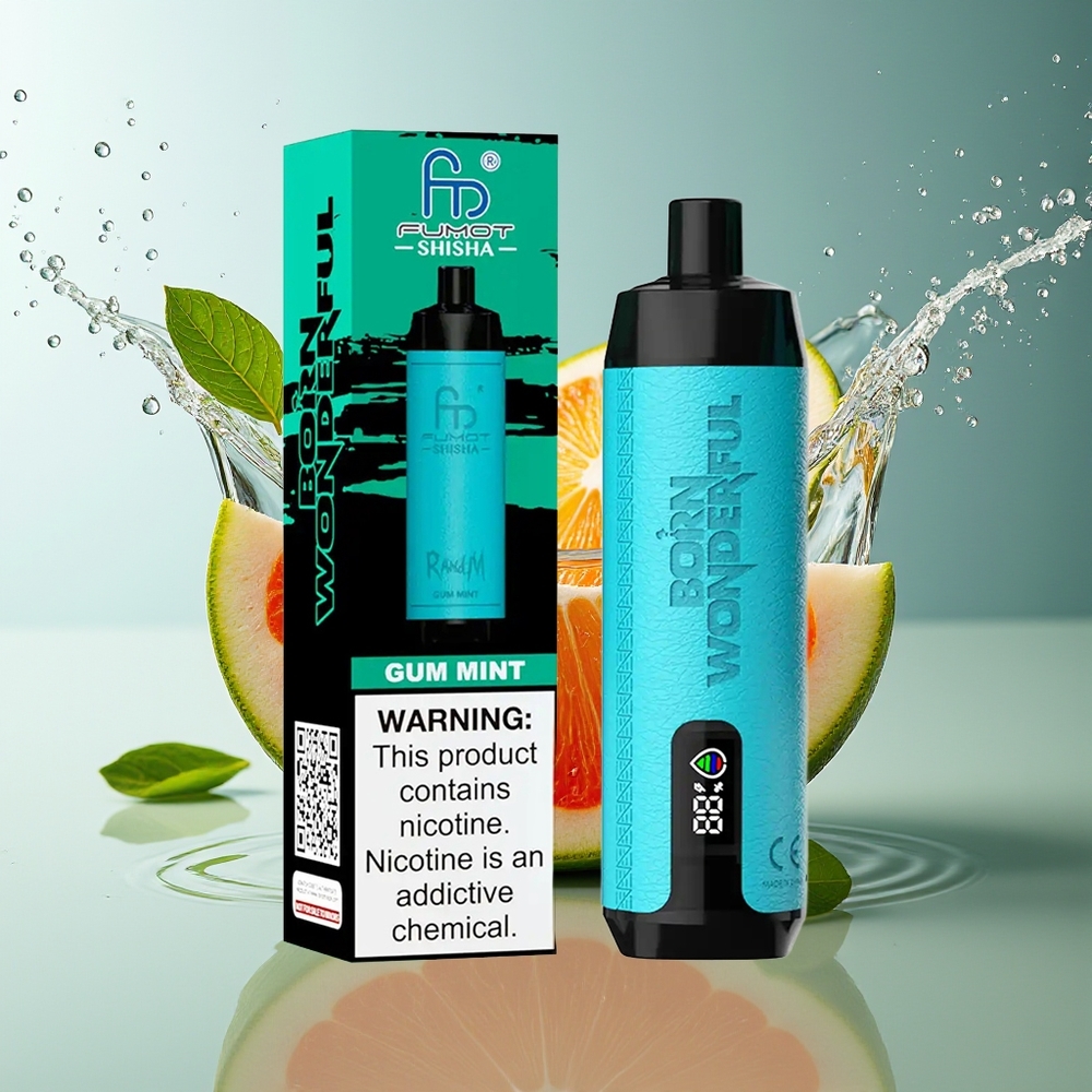 RandM Fumot Shisha 10000 Puffs Wegwerp Vape Kauwgom Munt LED Mesh Type-C