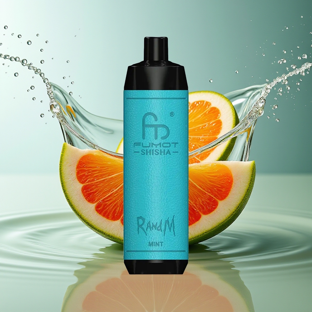 RandM Fumot Shisha 10000 Puffs Wegwerp Vape Munt Mesh Coil Type-C 18ml 0.5% Nicotine