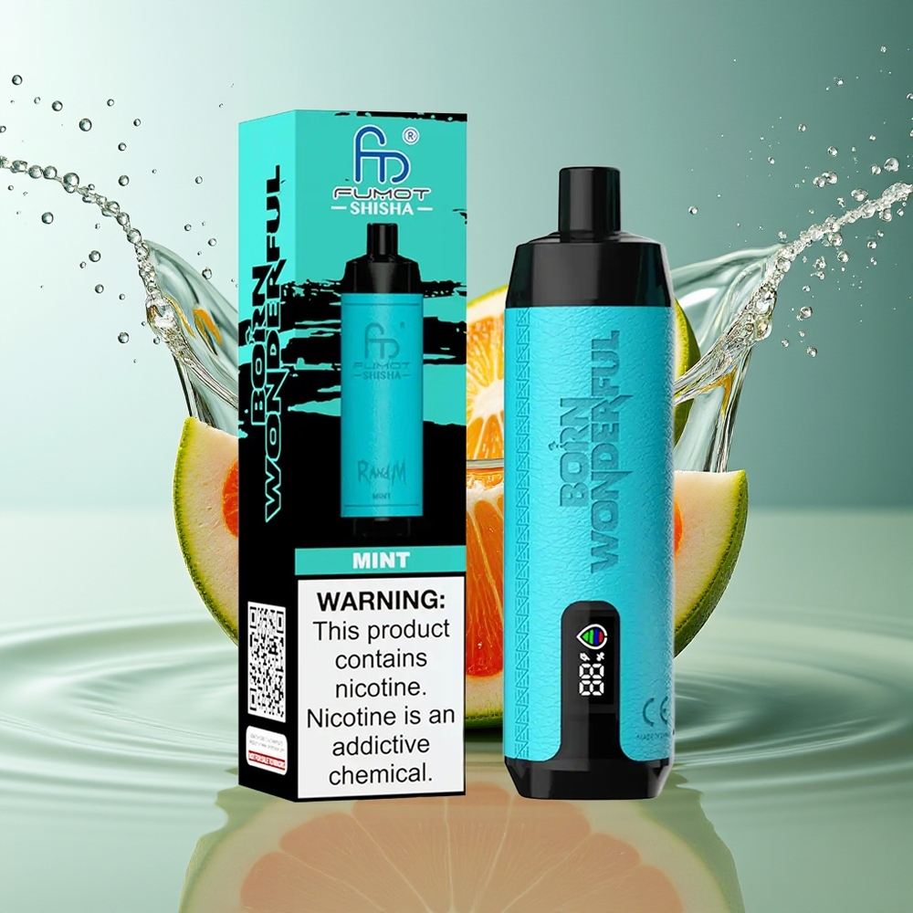RandM Fumot Shisha 10000 Puffs Wegwerp Vape Munt Mesh Coil Type-C 18ml 0.5% Nicotine