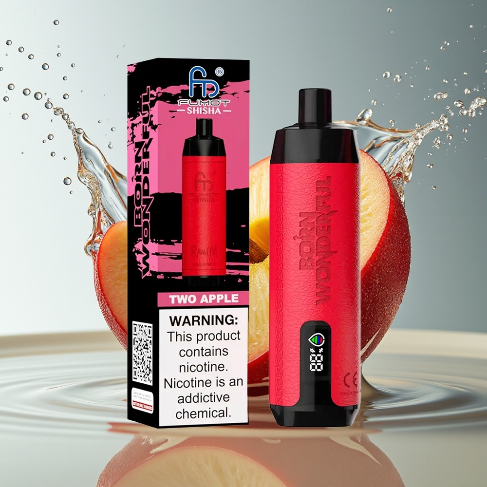 RandM Fumot Shisha 10000 Puffs Wegwerp Vape Twee Appel LED 18ml 850mAh Type-C 0.6ohm 0.5%
