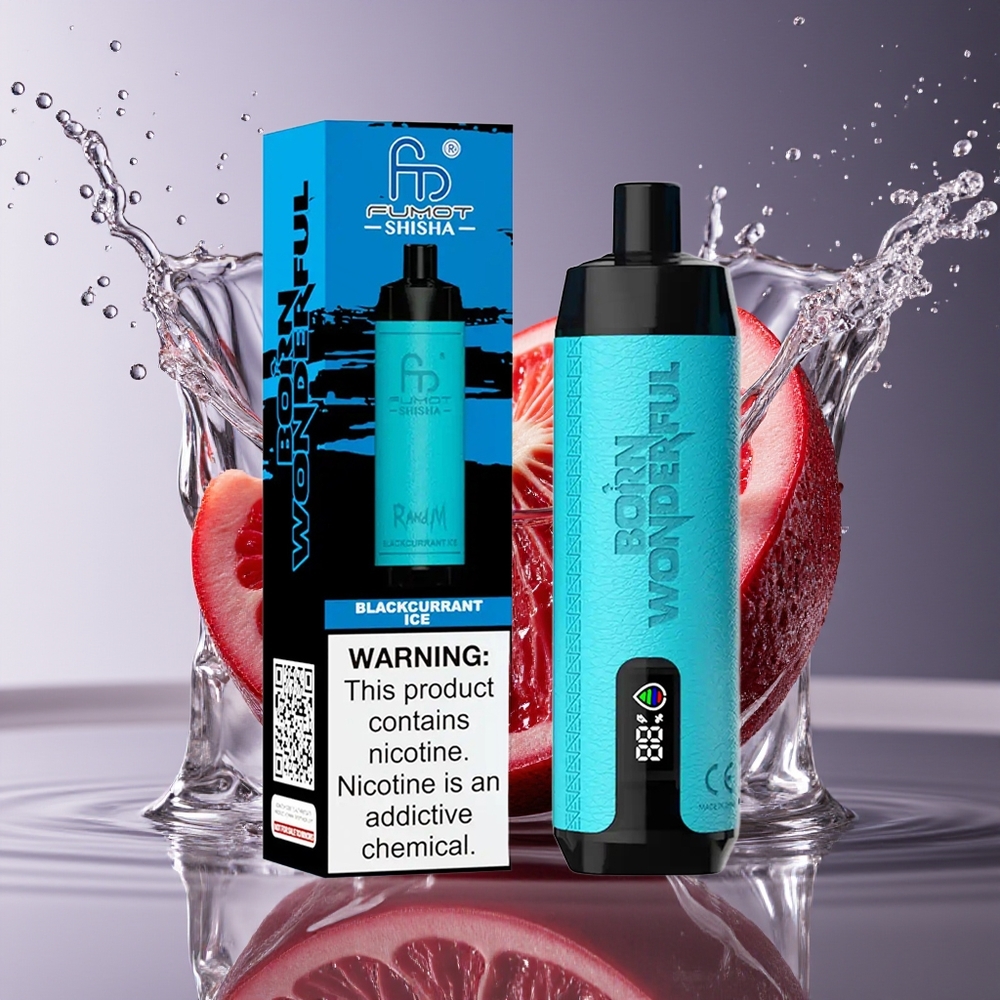 RandM Fumot Shisha 10000 Puffs Zwarte Bes Ijs Wegwerp Vape LED Type-C 18ml 850mAh