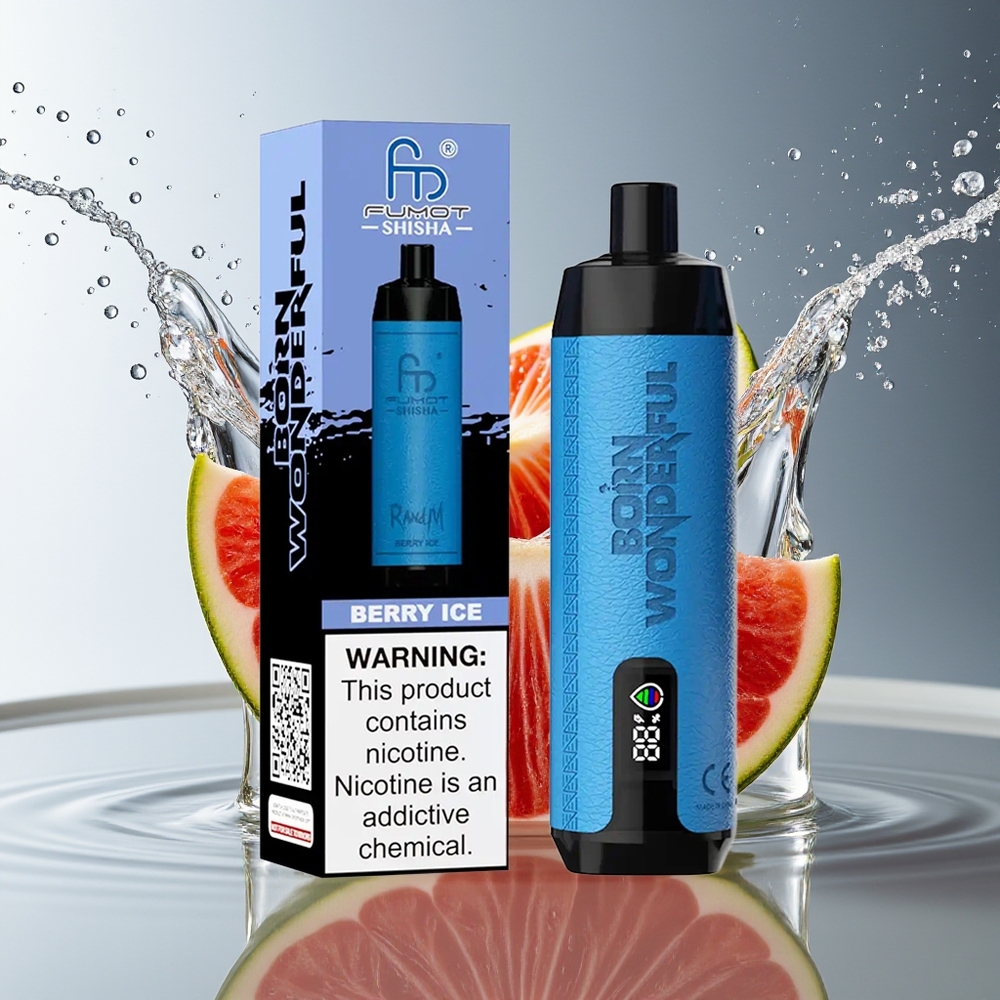 RandM Fumot Shisha 10000 Pufs Bes Ice LED Mesh Coil 18ml Type-C 0.5% Nic