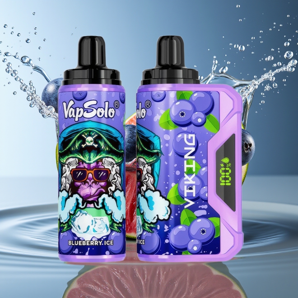 VapSolo VIKING 12000 Puffs Wegwerp Vape Blauwe Bes 22ml Type-C LED
