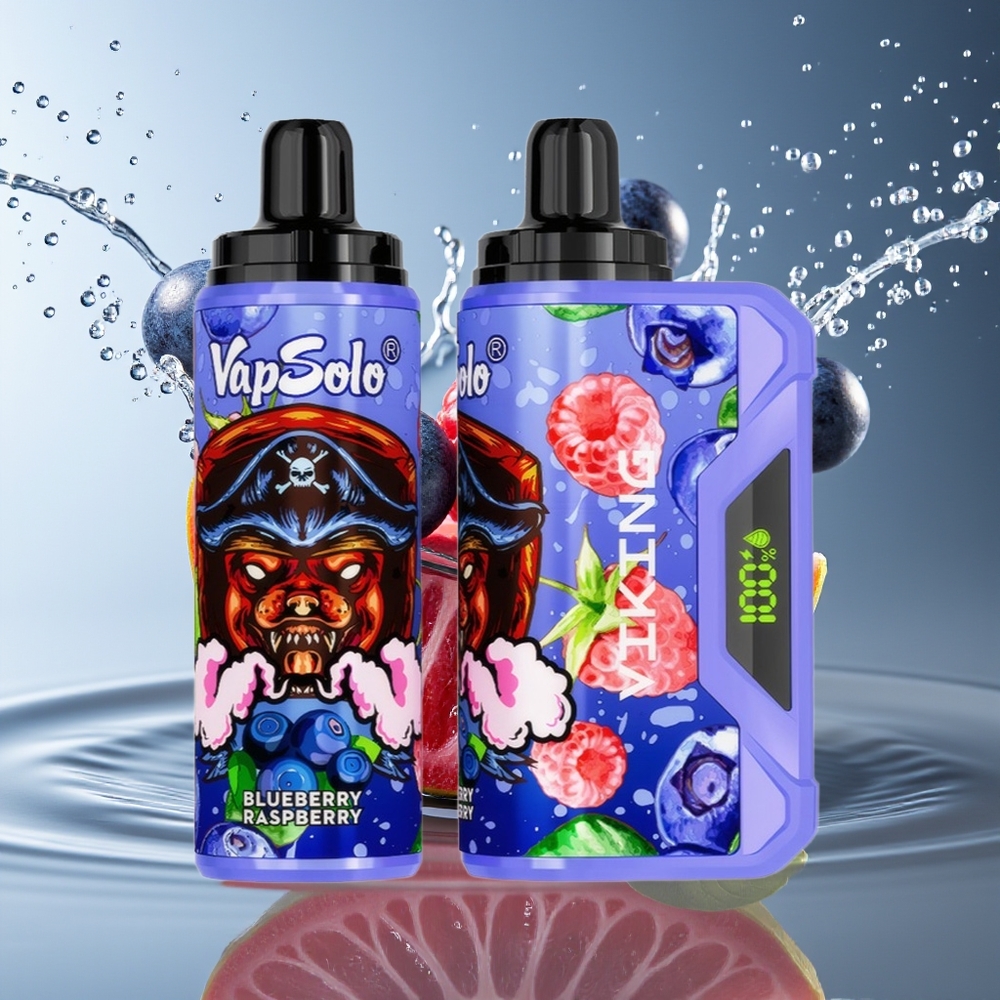 VapSolo VIKING 12000 Puffs Wegwerp Vape Bosbes Framboos Type-C LED 22ml